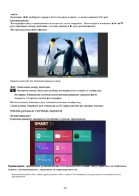 Страница 23