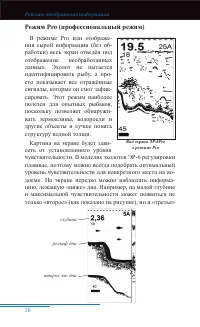 Страница 21