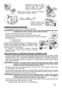 Страница 25