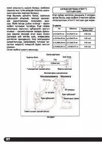 Страница 38
