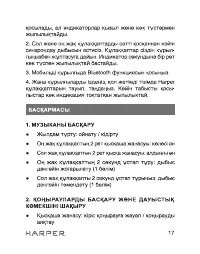 Страница 17