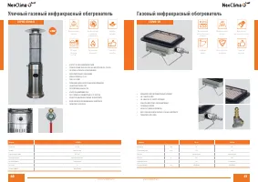 Страница 21