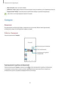 Страница 55