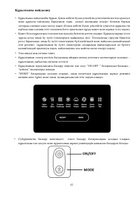 Страница 43