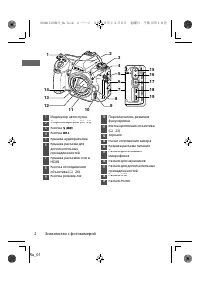 Страница 25
