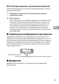Страница 55