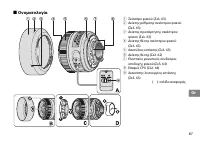Страница 61