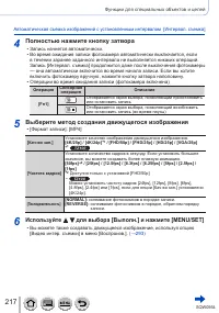 Страница 217