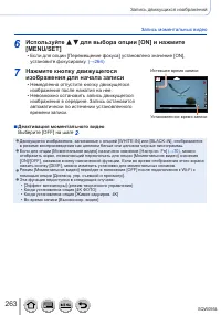 Страница 263
