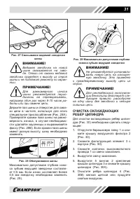 Страница 31