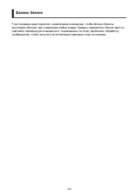 Страница 242