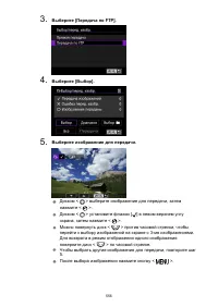 Страница 556