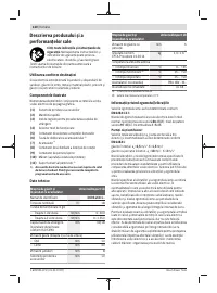 Страница 120