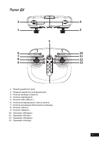 Страница 7