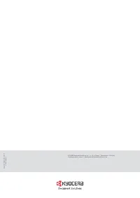 Страница 243
