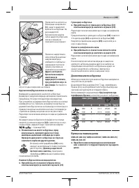 Страница 245
