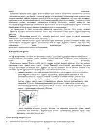 Страница 29