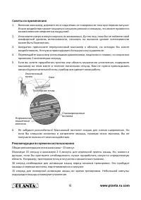 Страница 6