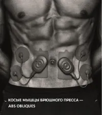 Страница 31
