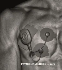 Страница 32