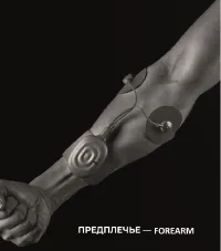 Страница 36