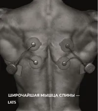 Страница 37