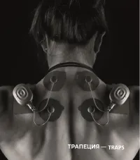 Страница 38