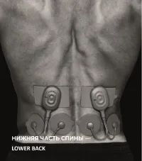 Страница 39