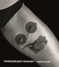 Страница 40