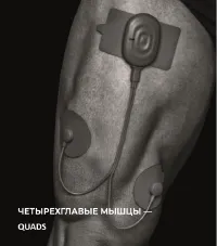 Страница 41