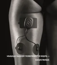 Страница 42