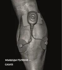 Страница 43