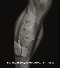 Страница 50