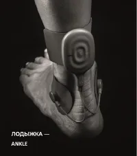 Страница 51