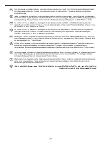 Страница 37
