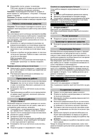 Страница 258