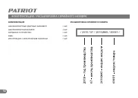 Страница 11