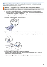 Страница 29