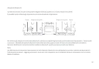 Страница 107