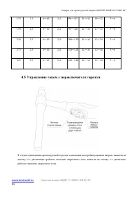 Страница 29
