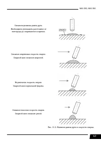 Страница 57