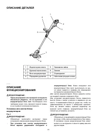 Страница 81