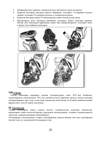 Страница 26