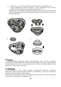Страница 29
