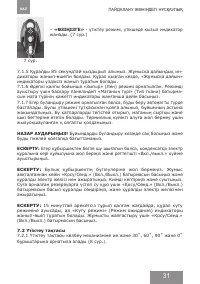 Страница 31