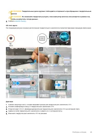 Страница 25