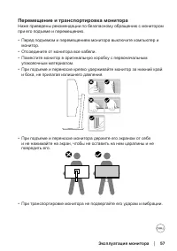 Страница 57