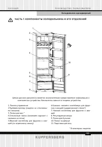 Страница 55