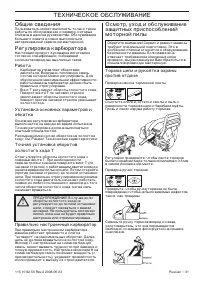 Страница 31