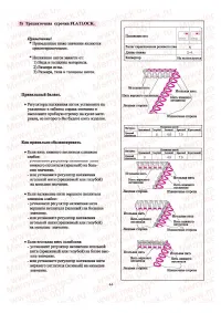 Страница 45